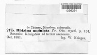 Image Associated With the Occurence